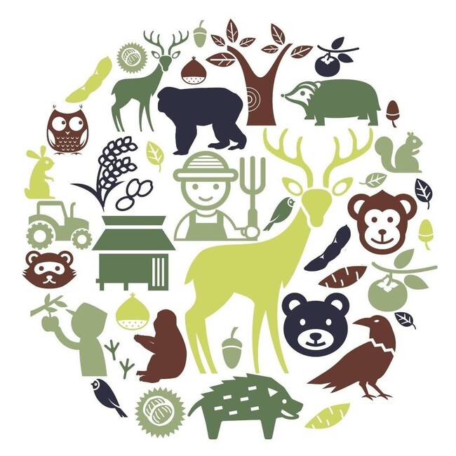 野生動物の被害から地域おこしへ!関係人口を巻き込んだ丹波篠山市独自の取り組みとは