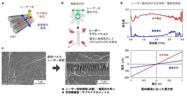 カーボンナノチューブの配向を狙った場所だけ調整する新たな光プロセスを開発 ～サブマイクロスケールの空間解像度で局所制御、次世代半導体デバイス実現に期待～