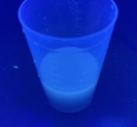 GSアライアンスがカリブ海のサルガッサムから量子ドットの合成に成功