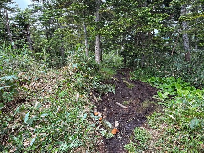 【岐阜県飛騨市】北ノ俣岳に立ちはだかり登山者の心を折る「ドロドロ区間」を解消へ！全国からの支援をカタチにできる木道設置作業を9月に実施するためボランティア募集を開始