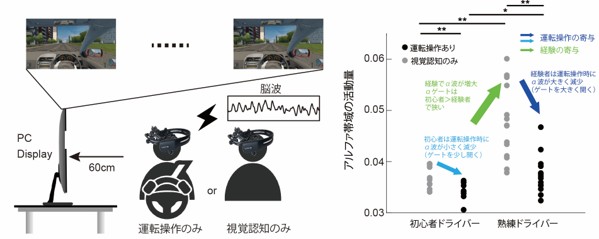 経験は脳に必要な情報を選択する力を育てる