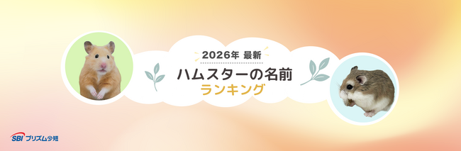 【SBIプリズム少短】2026年最新ハムスターの名前ランキングを発表！