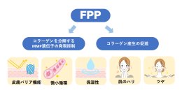 FPPによる皮膚のコラーゲン産生促進と微小循環改善を報告肌の老化予防に向けた新たなインナーケアの可能性