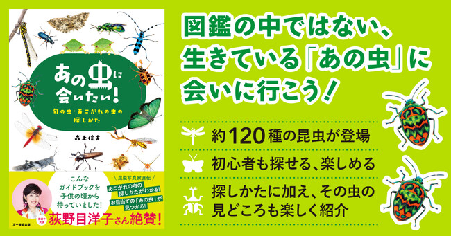 お目当ての昆虫を見つけるための、ノウハウと見どころを満載！『あの虫に会いたい！ 旬の虫・あこがれの虫の探しかた』好評発売中！