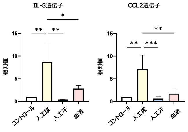 【小林製薬】尿漏れによる「尿かぶれ」発症メカニズムに新知見