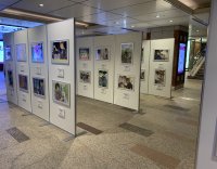 障害のある方が描いた絵画と“働く姿”を捉えた写真、入賞80作品を展示　「障害者雇用支援月間」作品展示会を東京・愛知で開催