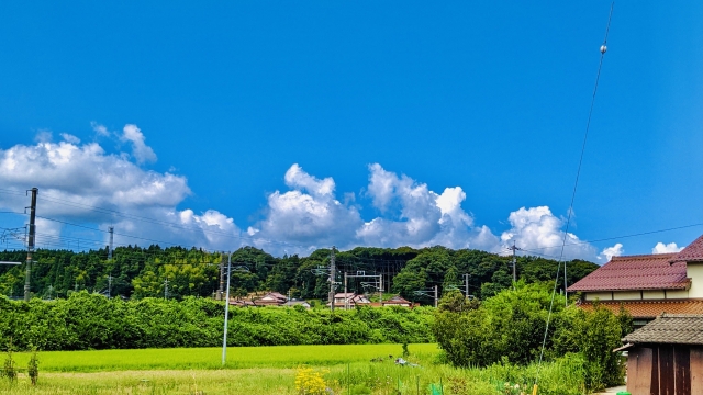 約半数が「今年の夏は帰省しない」と回答！夫婦別々の「セパレート帰省」、3人に1人以上が予定・経験あり！生活総合情報メディア【ヨムーノ】、「夏の帰省」に関する最新の意識調査を実施