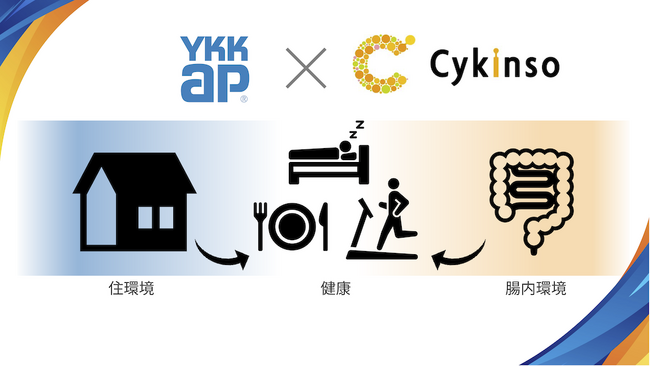 サイキンソーとYKK APが「断熱窓・睡眠・腸内フローラ」の関連性を共同調査