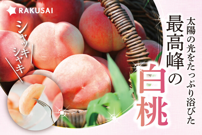 太陽の光をたっぷり浴びた『フルーツ王国 山形の白桃』(山形県産)