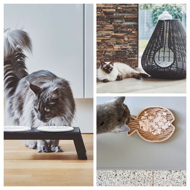 《Life with Cat》~猫と暮らす、心地よい毎日のために~