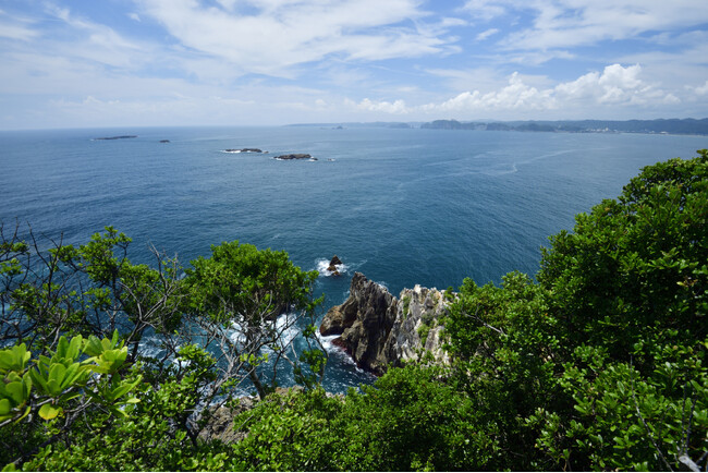 「鯨とともに生きる」日本遺産ウォークin宇久井半島を9月12日(土)に開催!