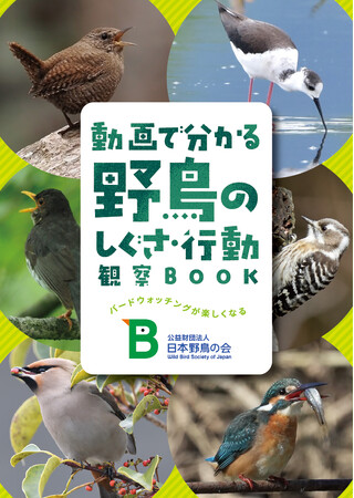 日本野鳥の会 新パンフレット『動画で分かる野鳥のしぐさ・行動観察BOOK』を無料プレゼント!