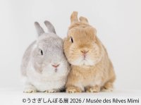 10周年“うさぎの祭典”が開幕！200点超の作品＆限定グッズが集結「うさぎしんぼる展 2026」9/18(金)から東京で開催
