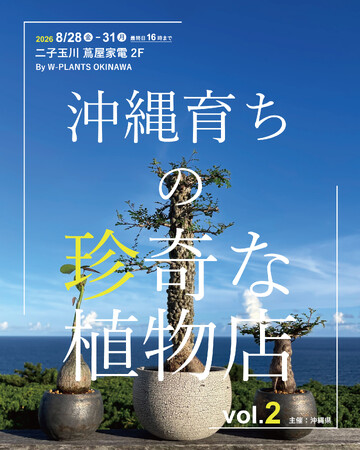沖縄の農園から唯一無二の希少株が大集合、8月28日（金）より4日間、二子玉川 蔦屋家電で「沖縄育ちの珍奇な植物店 」vol.2 を開催。
