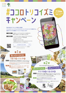 #ココロトリコイズミキャンペーン #ココロトリコイズミキャンペーン
