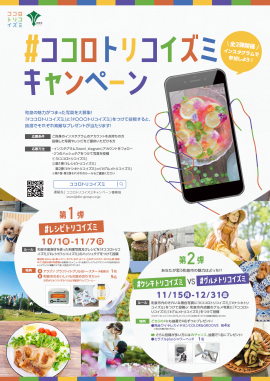 #ココロトリコイズミキャンペーン #ココロトリコイズミキャンペーン