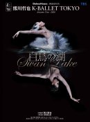 『白鳥の湖』 ビジュアル (C)Yumiko Inoue 『白鳥の湖』 ビジュアル (C)Yumiko Inoue