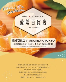 チラシ チラシ