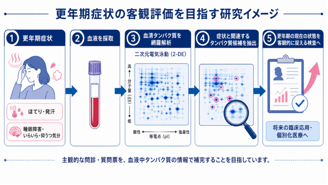 更年期症状と関連する血清タンパク質候補の研究成果をmedRxivで公開