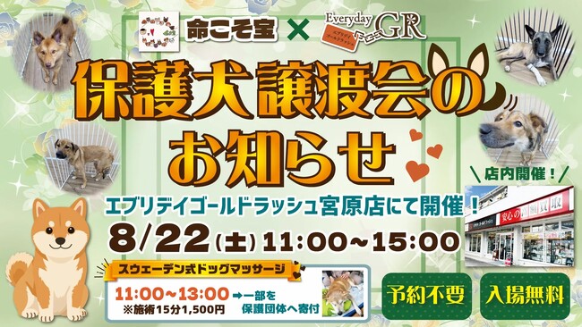 猛暑から人と犬を守る異例の試み】冷房完備の「室内保護犬譲渡会」全国的にも珍しい一般店舗で、エブリデイゴールドラッシュ宮原店、8月22日（土）開催～天候に左右されず犬も人も安心・安全に過ごせる場を提供～