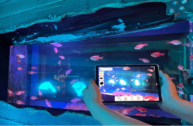 【南知多ビーチランド】さがして みつけて つかまえる！AI×水族館探検型ゲーム「サカナクエスト」を9月5日開始＜愛知＞
