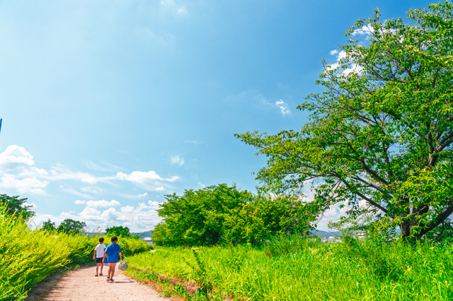 【募集開始】童心に立ち返って詠む俳句「童句」。狭山市立博物館が第11回コンクール作品を9月13日まで募集