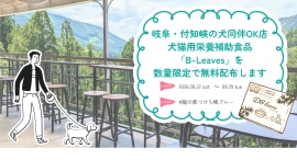 岐阜・付知峡の犬同伴OK店「#龍の家つけち峡ブルー」、愛犬との夏旅に“ひと休み”を。犬猫用栄養補助食品「B-Leaves」を数量限定で無料配布。 岐阜・付知峡の犬同伴OK店「#龍の家つけち峡ブルー」、愛犬との夏旅に“ひと休み”を。犬猫用栄養補助食品「B-Leaves」を数量限定で無料配布。