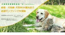 犬猫用栄養補助食品「B-Leaves」、岐阜・付知峡の犬同伴OK観光店で店頭サンプリングを開始。犬連れ客との実際の対話から生まれた地域連携。 犬猫用栄養補助食品「B-Leaves」、岐阜・付知峡の犬同伴OK観光店で店頭サンプリングを開始。犬連れ客との実際の対話から生まれた地域連携。