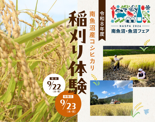 黄金色の田んぼで、南魚沼産コシヒカリを収穫！25年目の「稲刈り体験」を9月23日開催