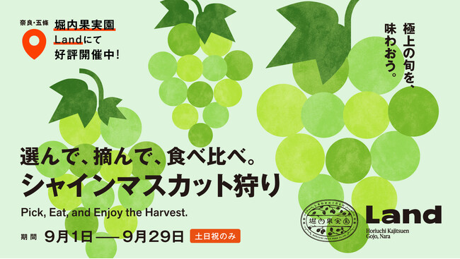 極上の旬を、味わおう。選んで、摘んで、食べ比べ。「シャインマスカット狩り」を堀内果実園で開催