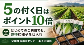 全国種苗出荷センター、5の付く日はポイント10倍施策を2026年8月1日より開始しました。