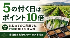 全国種苗出荷センター、5の付く日はポイント10倍施策を2026年8月1日より開始しました。