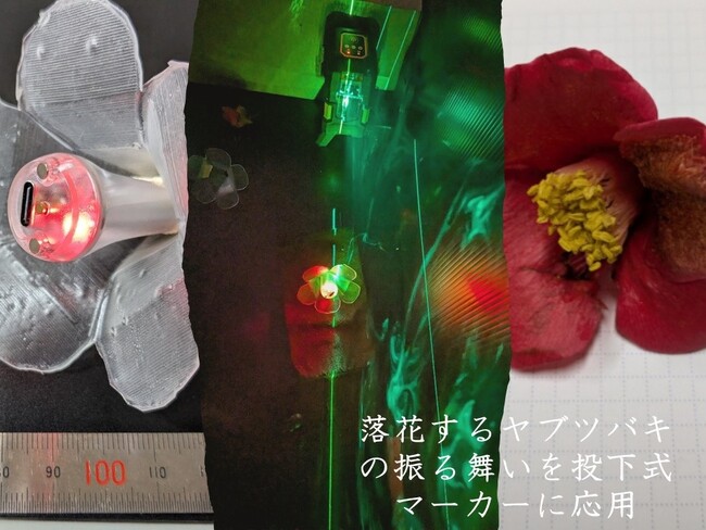 【津山高専】落花した花の流体現象をアートで発信　学会併設ARTコンテストで教員・学生作品が継続受賞
