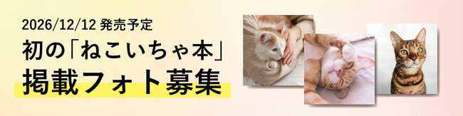 あなたの愛猫が本に載るかも！「ねこ愛」あふれる写真を9月6日まで募集中。みんなの「ねこ愛」を集めた『ねこいちゃ本（仮）』を12月12日に発売！売上の一部は保護猫活動へ。
