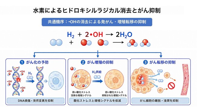 低濃度水素吸入の抗がん作用に関する研究知見|MiZ 慶應義塾大学 学術論文 2 本と特許 5 件