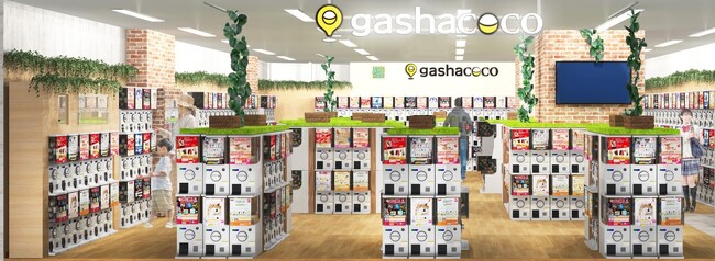 カプセルトイ専門店『gashacoco（ガシャココ）』のフランチャイズ店舗39号店『gashacoco足利コムファーストSC』を9月11日(金)オープン！