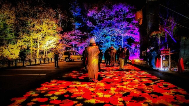 【北海道／層雲峡】夜は紅葉が灯りに染まる――日本一早い紅葉の名所・層雲峡温泉で楽しむ「奇跡のイルミネート」