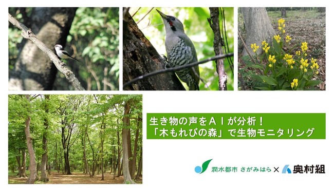 【相模原市】生き物の声をAIが分析！「木もれびの森」でAIを使用した生物モニタリングの実証実験を実施します