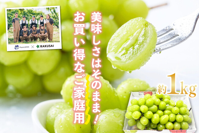 日照時間トップクラスの山梨県・甲府盆地から　PlayestJAPANさんの『ご家庭用シャインマスカット』