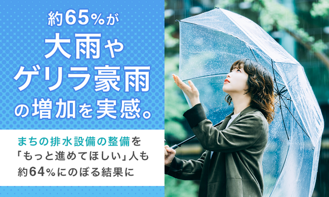 約65%が