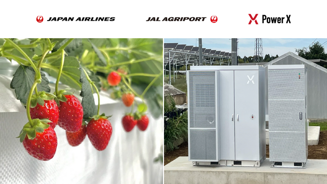 JALグループの農園に「PowerX Cube」　夏いちごの収穫とカーボンゼロ農業を支える