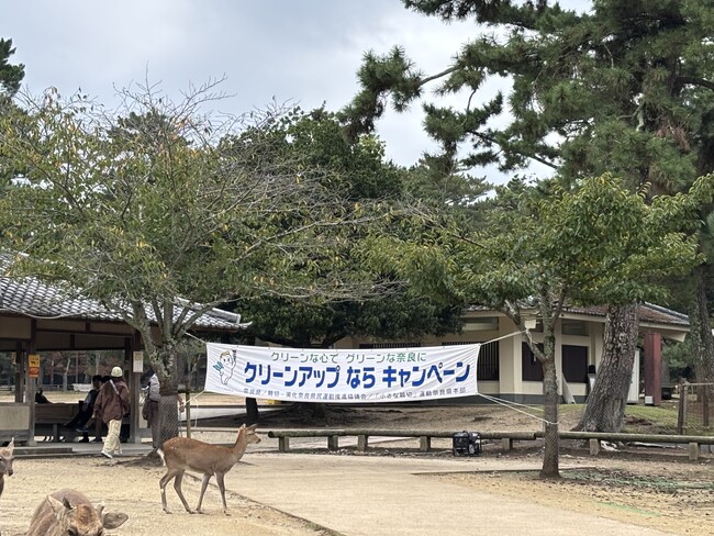 2026クリーンアップならキャンペーン