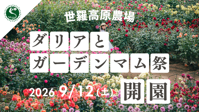 【広島／世羅】2026年9月12日OPEN！秋の世羅高原「ダリアとガーデンマム祭」《世羅高原農場》