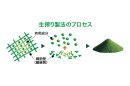 生搾り製法のプロセス 生搾り製法のプロセス