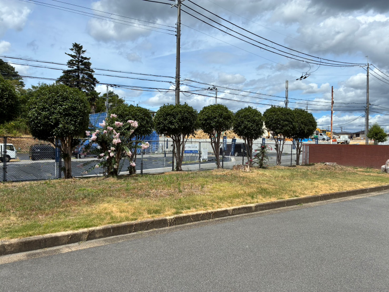 【近畿地区協議会】日本青年会議所「全国一斉カーボンニュートラルアクション」　9月3日、兵庫・大阪・京都・奈良で記念植樹、和歌山では県木を寄贈