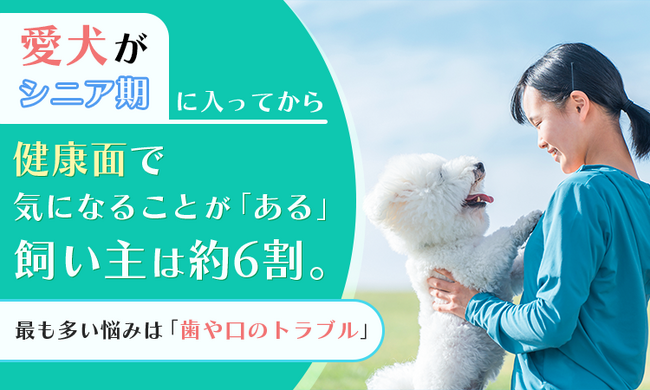 愛犬がシニア期に入ってから健康面で気になることが「ある」飼い主は約6割。最も多い悩みは「歯や口のトラブル」