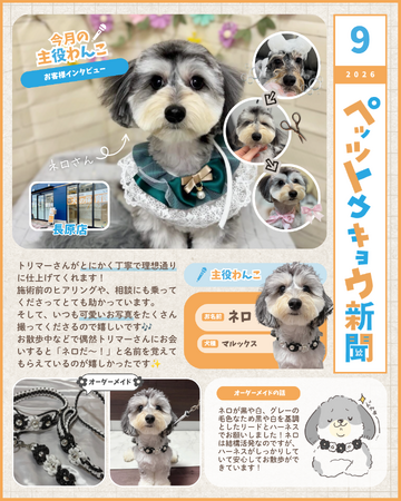 ペットと暮らす毎日をもっと楽しく!「ペッツトウキョウ新聞」8月号を発行
