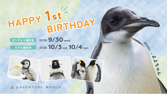 コウテイペンギンのこども「よよちゃん」が、１歳を迎えます！絶滅危惧種の小さないのちが、皆様に見守られ成長した３６５日の記録 ～１歳の誕生日を祝う特別イベントを開催！～