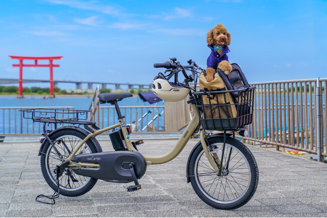 【JR東海】愛犬と一緒に浜名湖をサイクリング！ 弁天島サイクルゲートで「わんこと乗れるレンタサイクル」 10月1日から実証事業開始