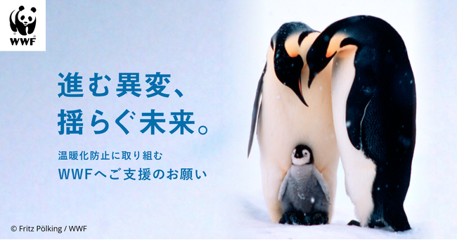 コウテイペンギンまでもが絶滅危惧種に　WWFジャパン、気候危機対策への寄付キャンペーン「進む異変、揺らぐ未来。」を開始
